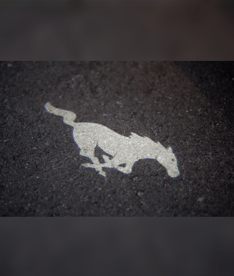 Ford Mustang convertible thumbnail 4